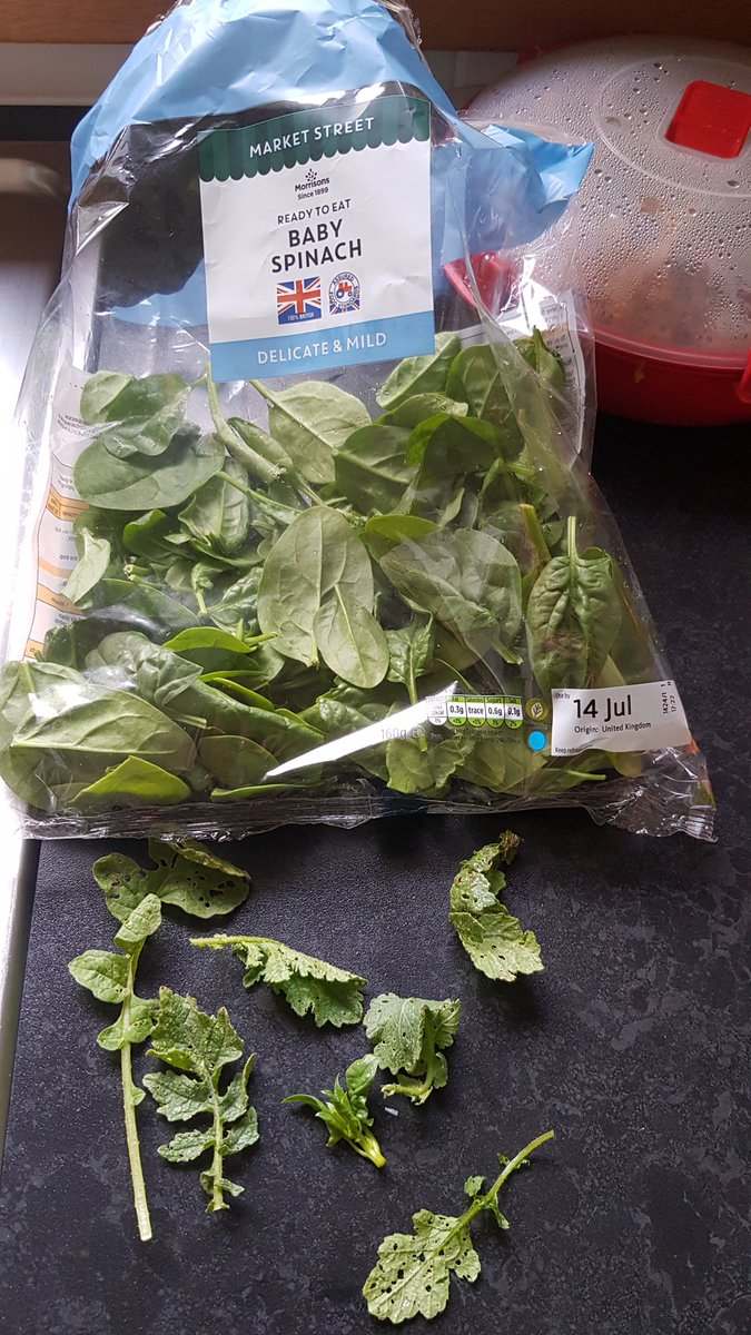 morrisons baby monitor