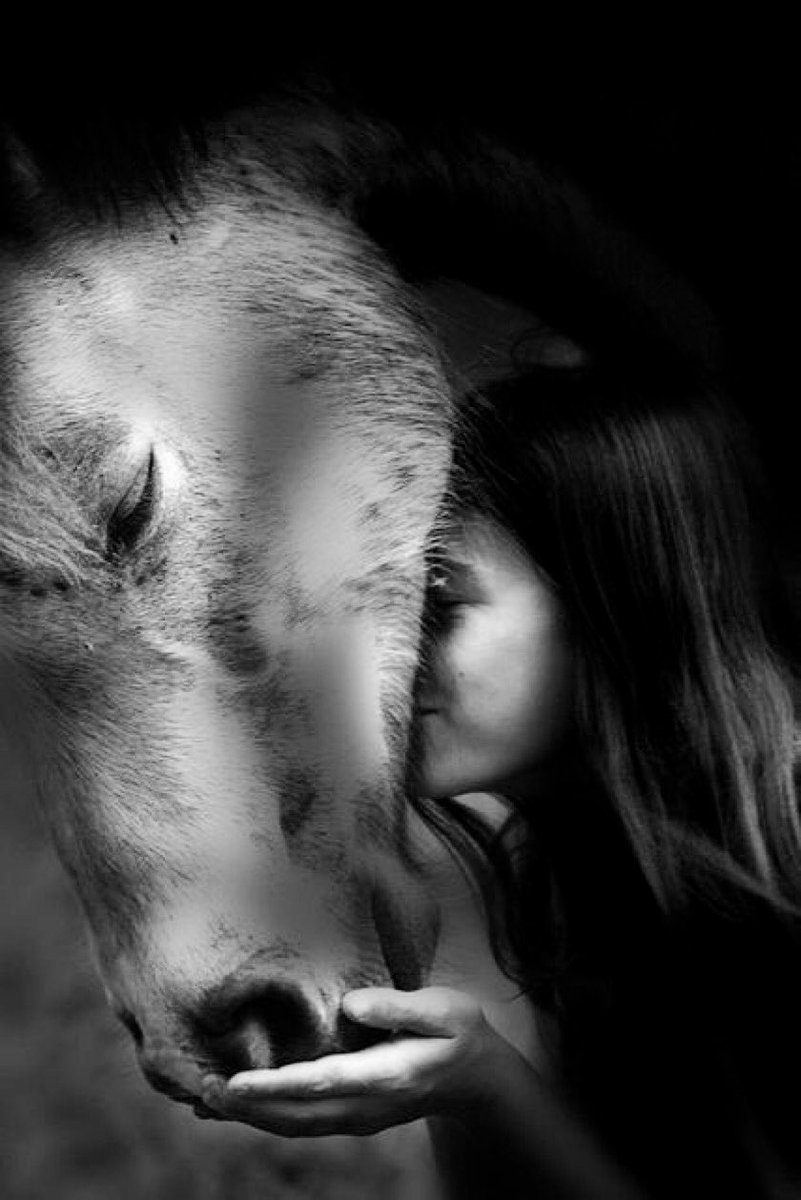 #سأكتفى 
بك حباً يروينى يغمر حياتى بالسعادة يهدى #قلبي الى الحياة 
#سأكتفى بك دوناً عن كل #البشر 
حلماً لا أجد له بديل واقعاً أحلم به #سأكتفى بك حباً فى #قلبي أبدياً
#فيكفينى أنك معى فى كل لحظات #العمر ألى أن أفنى من هذه الحياة
#المهره
#الفاتنة