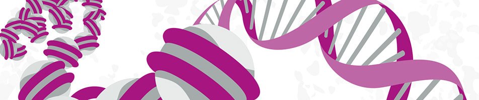 It took a lot of work, but we've built the ultimate guide for #epigenetics researchers: including histone modifications, chromatin architecture, DNA and RNA modifications. Enjoy! bit.ly/2F6Y30i