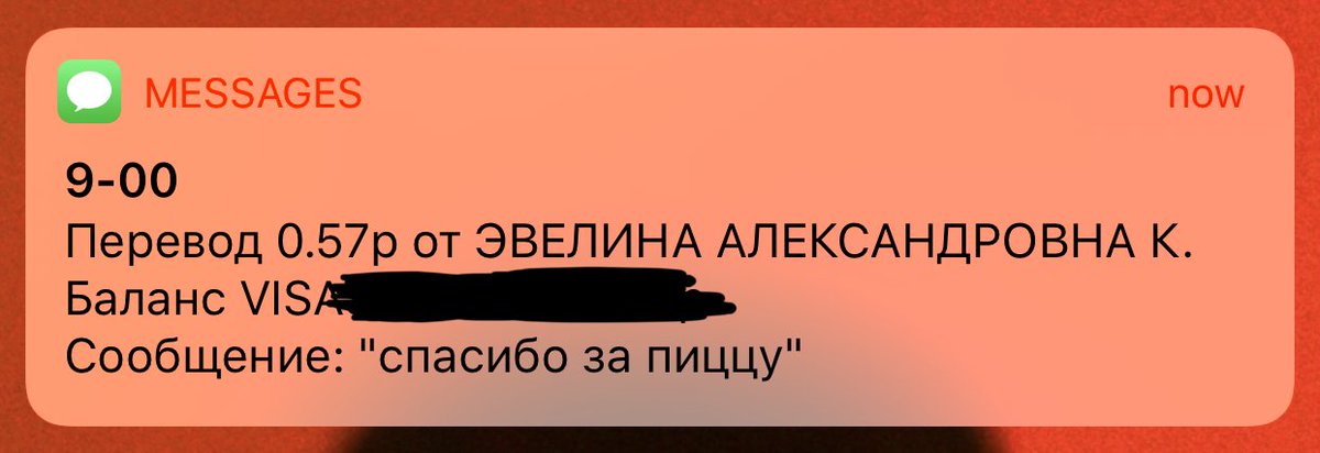 Эва: — Сколько за пиццу скинуть?
Я: — Ну, сколько можешь…
Эва:
