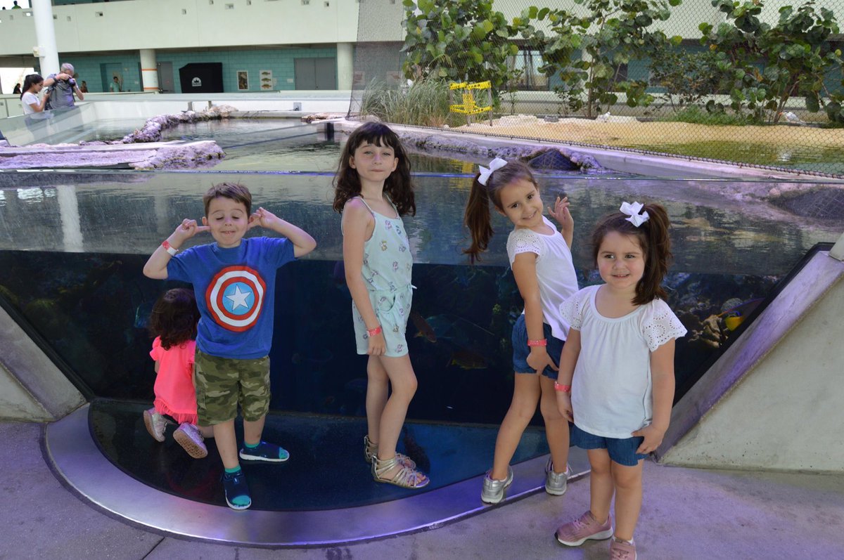 LissetteCBS4's tweet photo. Fun and educational day at the @FrostScience museum. My sister and her family are visiting from Chicago. The cousins reunion now continues here in Miami ☀️#frostscience #frostsciencemuseum https://t.co/TYIms1SVS4