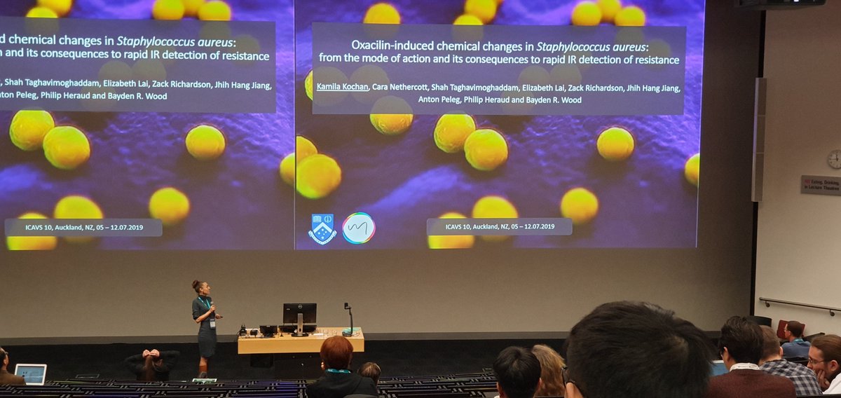 #Nosocmialinfections, watch out! Dr Kamilla is coming for you and her work "Oxacilin-induced changes in S. aureaus: from mode of action and its consequences for rapid IR detection of resistance" 

#FTIR #ATR #Spectroscopy #diagnostics #bacteria #ICAVS10