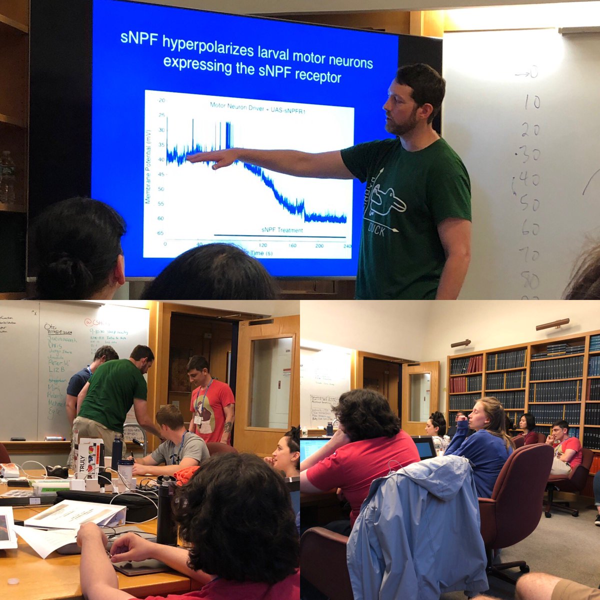 BA_Stanhope's tweet photo. Up tonight - Chris Vecsey shows @CSHLflycourse how neuropeptides impact sleep 😴 https://t.co/UPNa2zceZZ