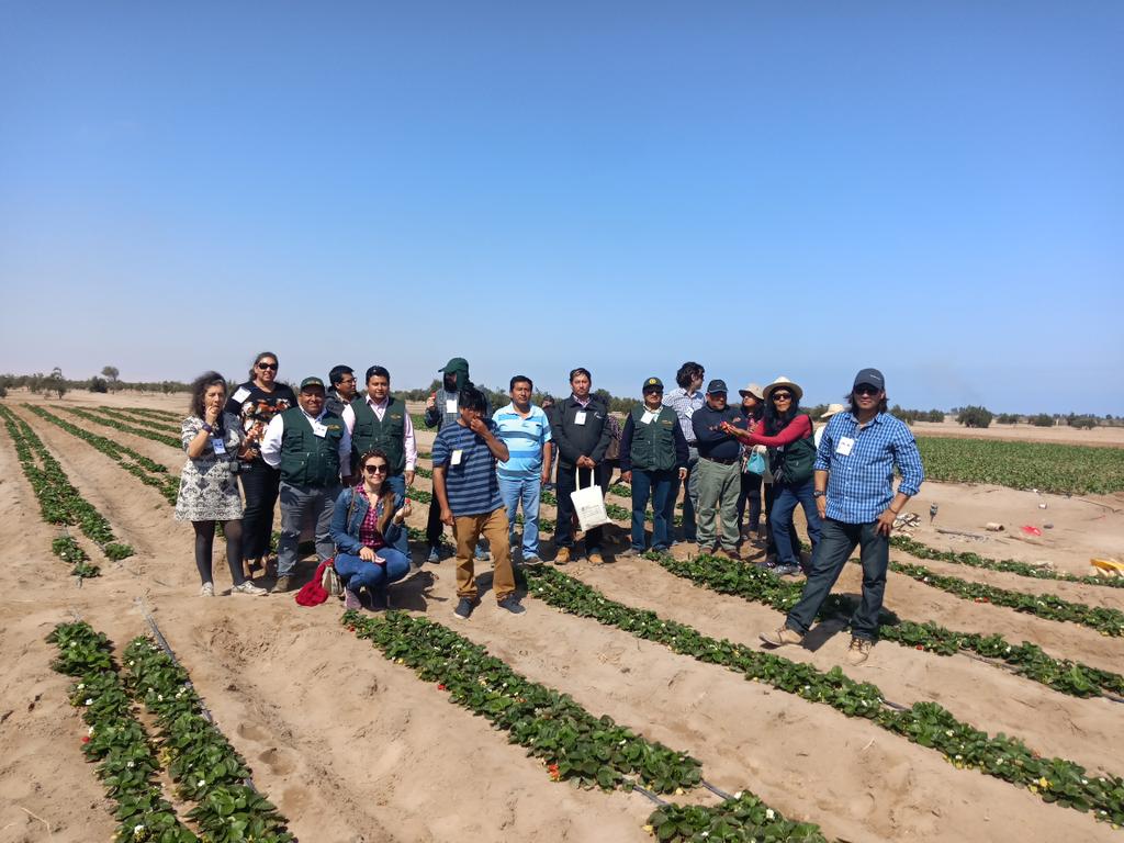 Minagri Arica (@minagriarica) on Twitter photo Experiencias de energía ☀️ en el agro, cultivos de olivos, naranjas, lúcumas, frutillas y sandías y una finca de elaboración de vino y pisco, pudo conocer una delegación del agro de #Arica y #Parinacota, en el marco del proyecto de integración de <a href="/Innovact_eu/">Innovactplatform</a> #ChileEnMarcha Experiencias de energía ☀️ en el agro, cultivos de olivos, naranjas, lúcumas, frutillas y sandías y una finca de elaboración de vino y pisco, pudo conocer una delegación del agro de #Arica y #Parinacota, en el marco del proyecto de integración de <a href="/Innovact_eu/">Innovactplatform</a> #ChileEnMarcha