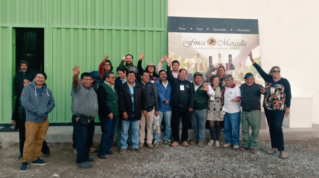 Minagri Arica tweet media