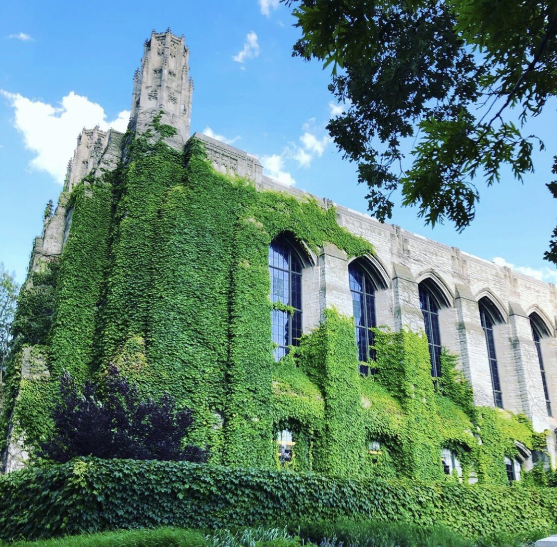 wearedhd's tweet photo. ...This is my second time here and absolutely love the place!
-David
#launchx #northwestern #chicago #evanstown #northwesternuni #usa #travel #speaker #lakemichigan #branding #teach #mentor #startups #getoutside #summer2019 https://t.co/avvFxSAANk
