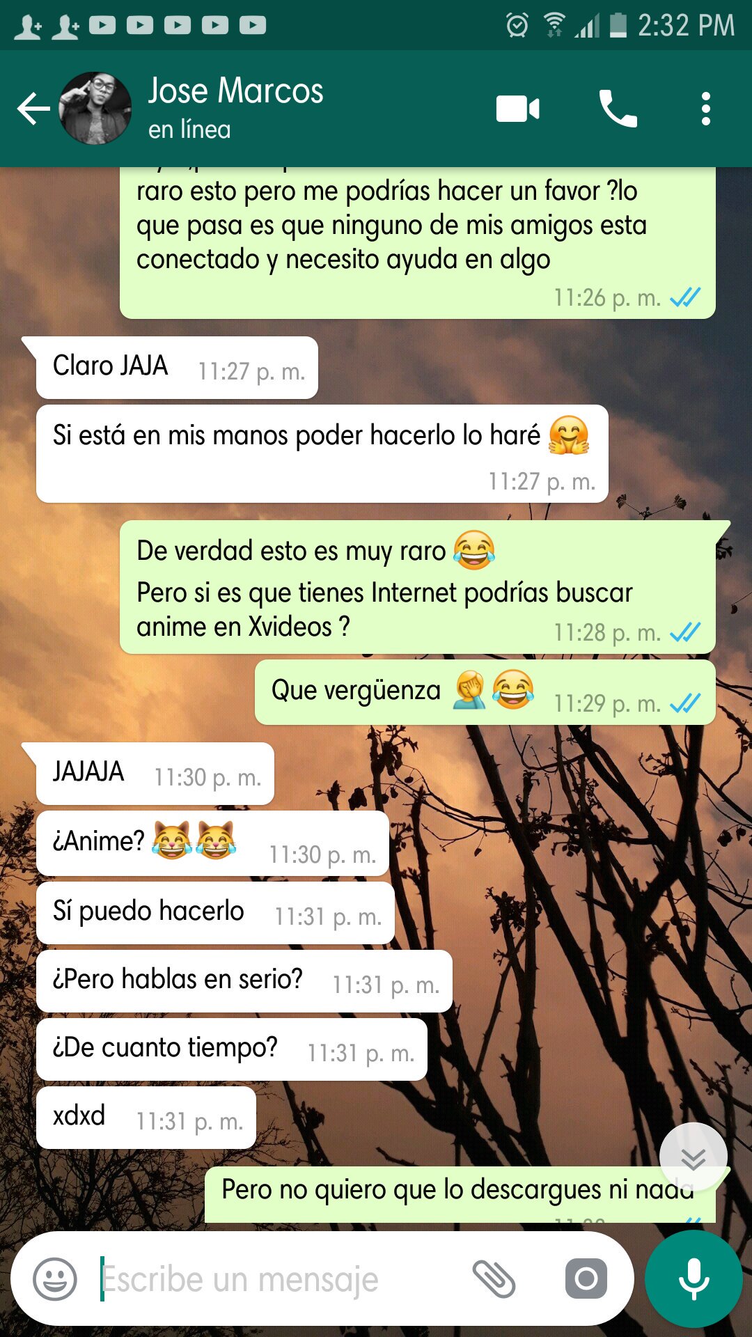 ♡Sєℓƒ ℓσνє MX♡ on X: favorextrano @maire_wink Le pedi a un amigo que  buscara anime en una página nopor Porque alguien me dijo que si habia anime  en esas páginas t.cotUizTAp2Bn 