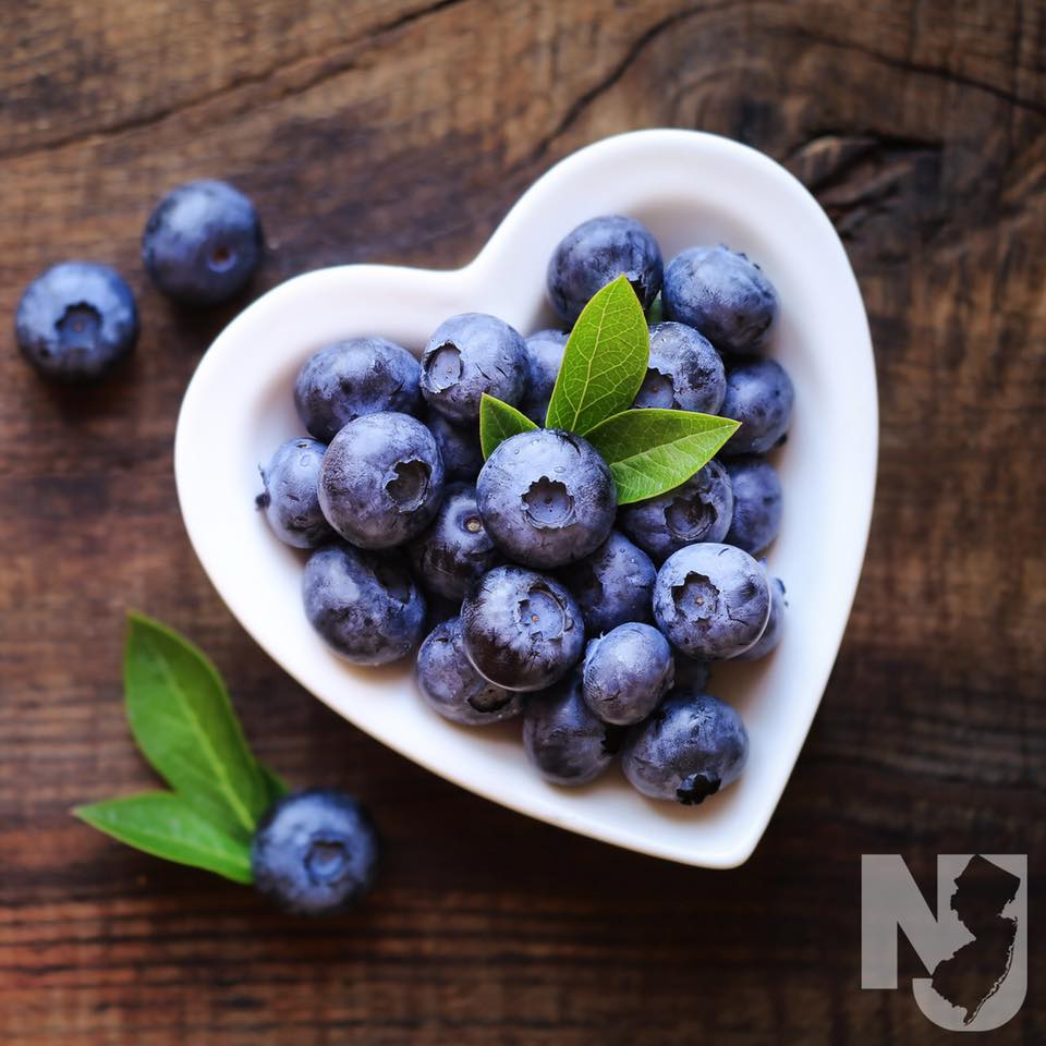 New Jersey on Twitter: "It's a berry big day in the Garden State -  #NationalBlueberryDay! New Jersey is proud to be the birthplace of  blueberries, and even prouder to have blueberries as