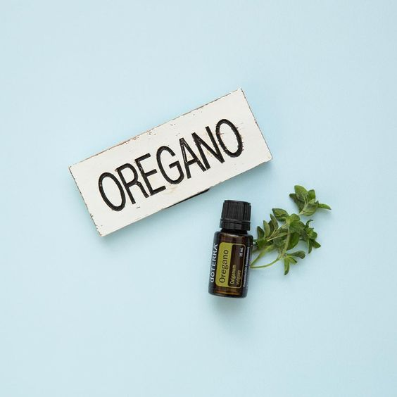 OilsByStephanie's tweet photo. One of the many benefits of Oregano essential oil includes supporting a healthy immune system.*

One drop taken daily can help maintain healthy immune function.*

Oregano can be taken more frequently when seasonal threats are high or as needed to further… https://t.co/SxdDlBjQU6 https://t.co/WXm43hKJXG