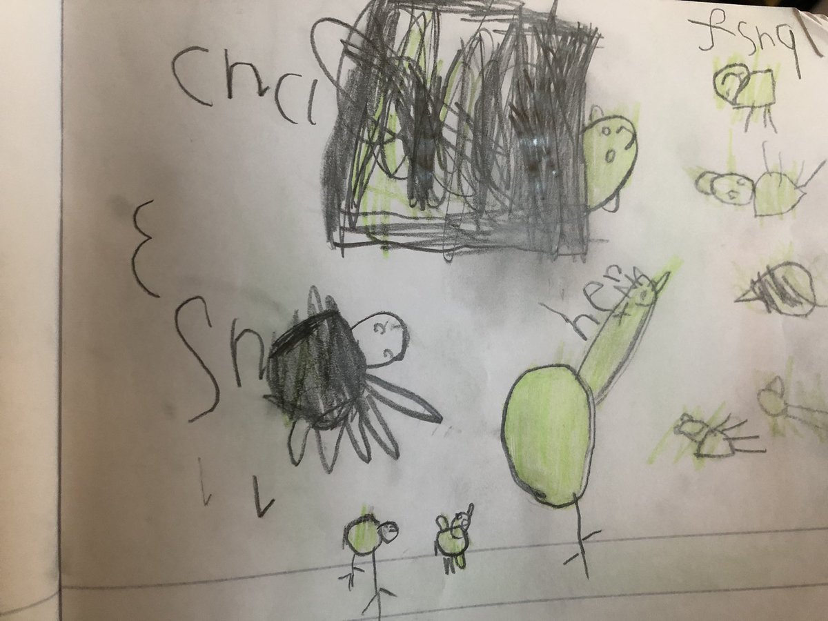 My daughter’s books have come home. Her morning work book about what she did at the weekend is a particular highlight. #eyfstwitterpals