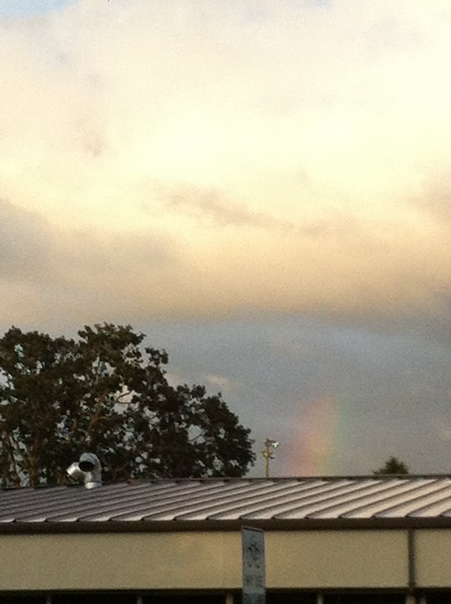 MihyePang's tweet photo. A rainbow rises now https://t.co/H6H3Thhapd