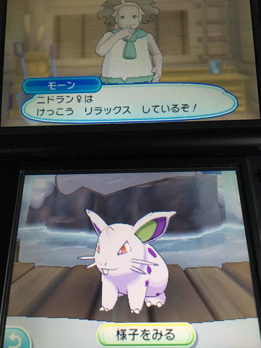 化石 ポケモン垢 おはようございます 本家色違い報告 温泉からニド きました 今回はしっかり特性も遺伝 良かった良かった ポケモン 色違い Usum