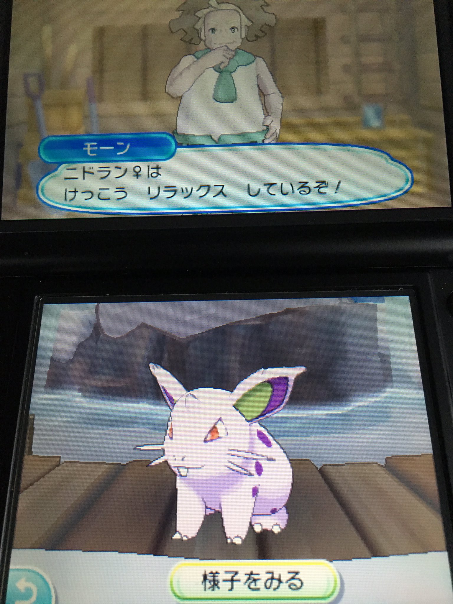 化石 ポケモン垢 おはようございます 本家色違い報告 温泉からニド きました 今回はしっかり特性も遺伝 良かった良かった ポケモン 色違い Usum T Co Cgj6lehqow Twitter