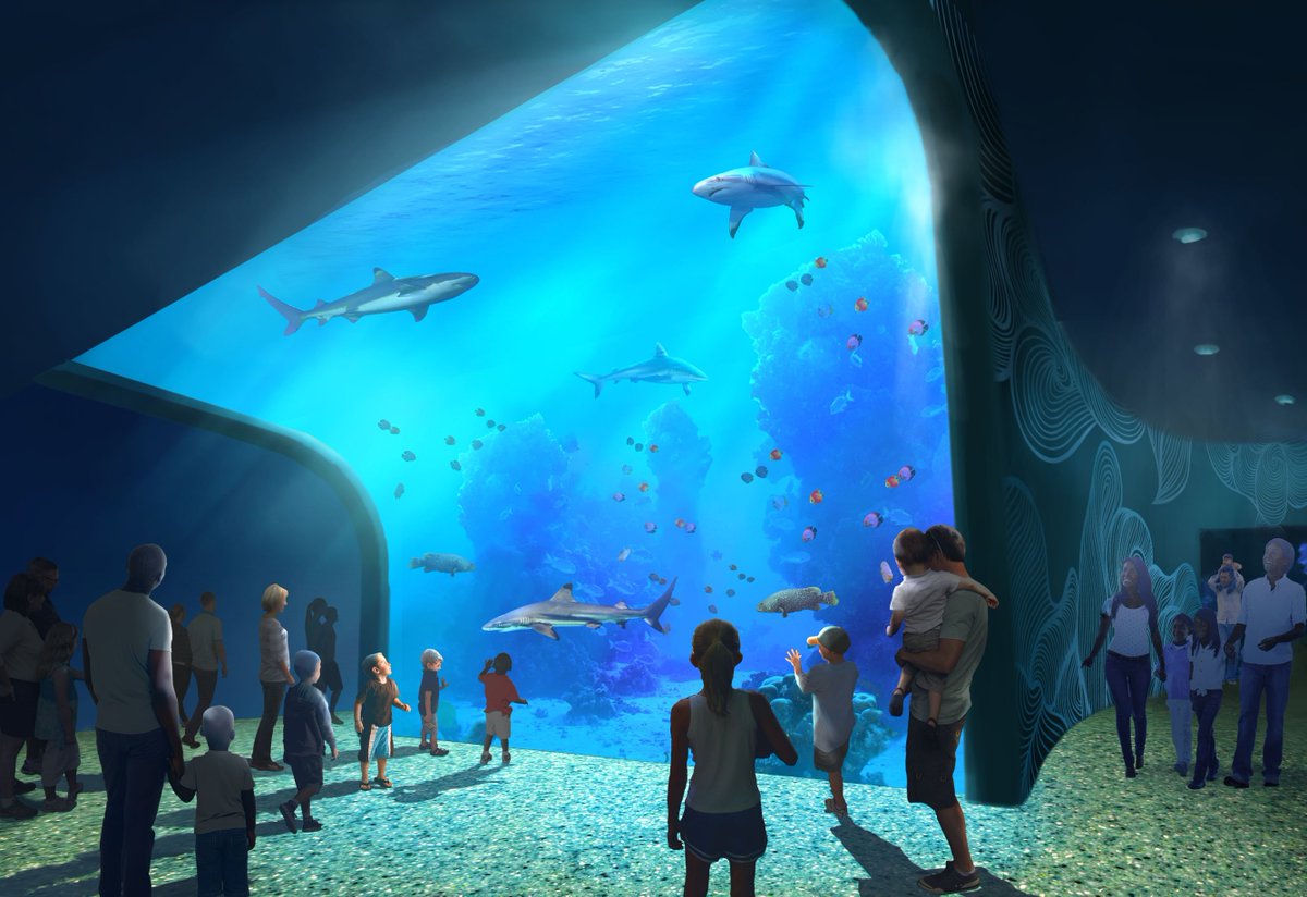 explorestlouis's tweet photo. The @AquariumSTL is making BIG progress. Check out this update ➡️ https://t.co/E3TcDLEUB5 #explorestlouis https://t.co/Bt0ui2AiPg