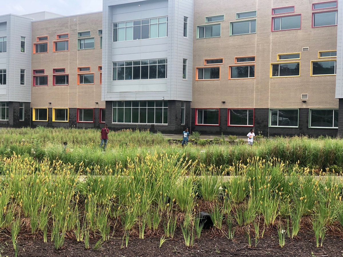 aprildockery's tweet photo. Rain or shine Cougar Block Party!!!! #CougarPrideAVL #TheACSWay https://t.co/wJwY1WhjPD