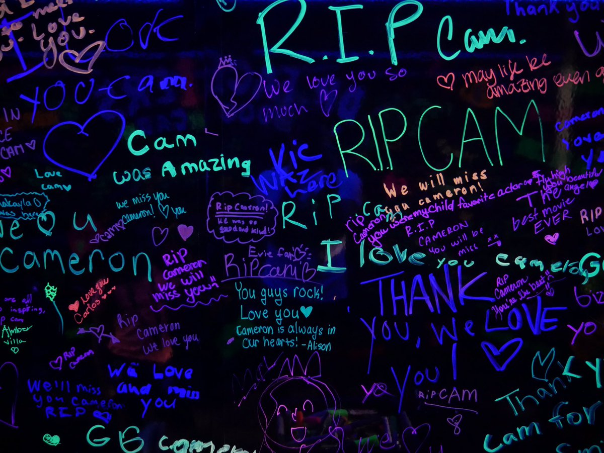 JamesChatsTV's tweet photo. The Descendants booth at VidCon was a difficult visit https://t.co/72hmkFO2mv