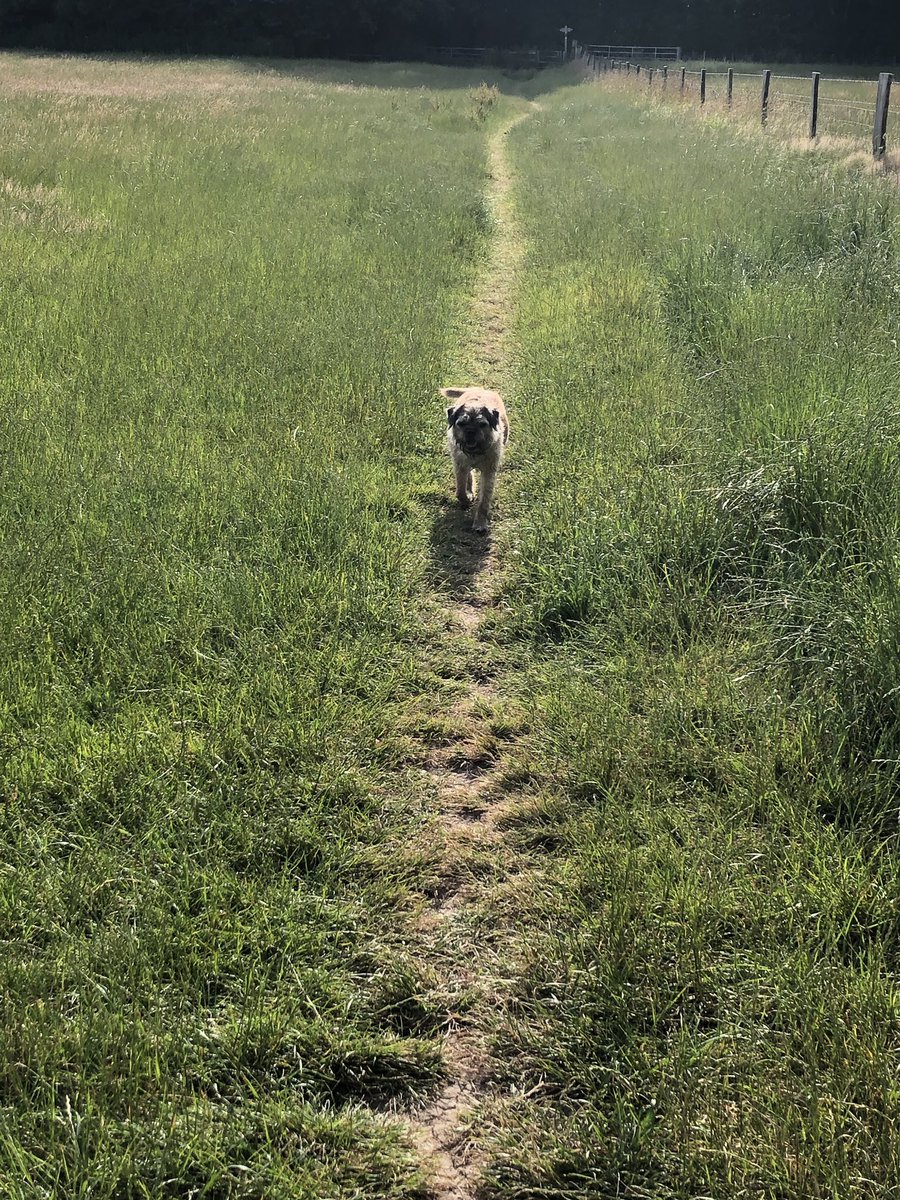 Just a lazy walk. Mam said took slow but ‘twas hot pals!