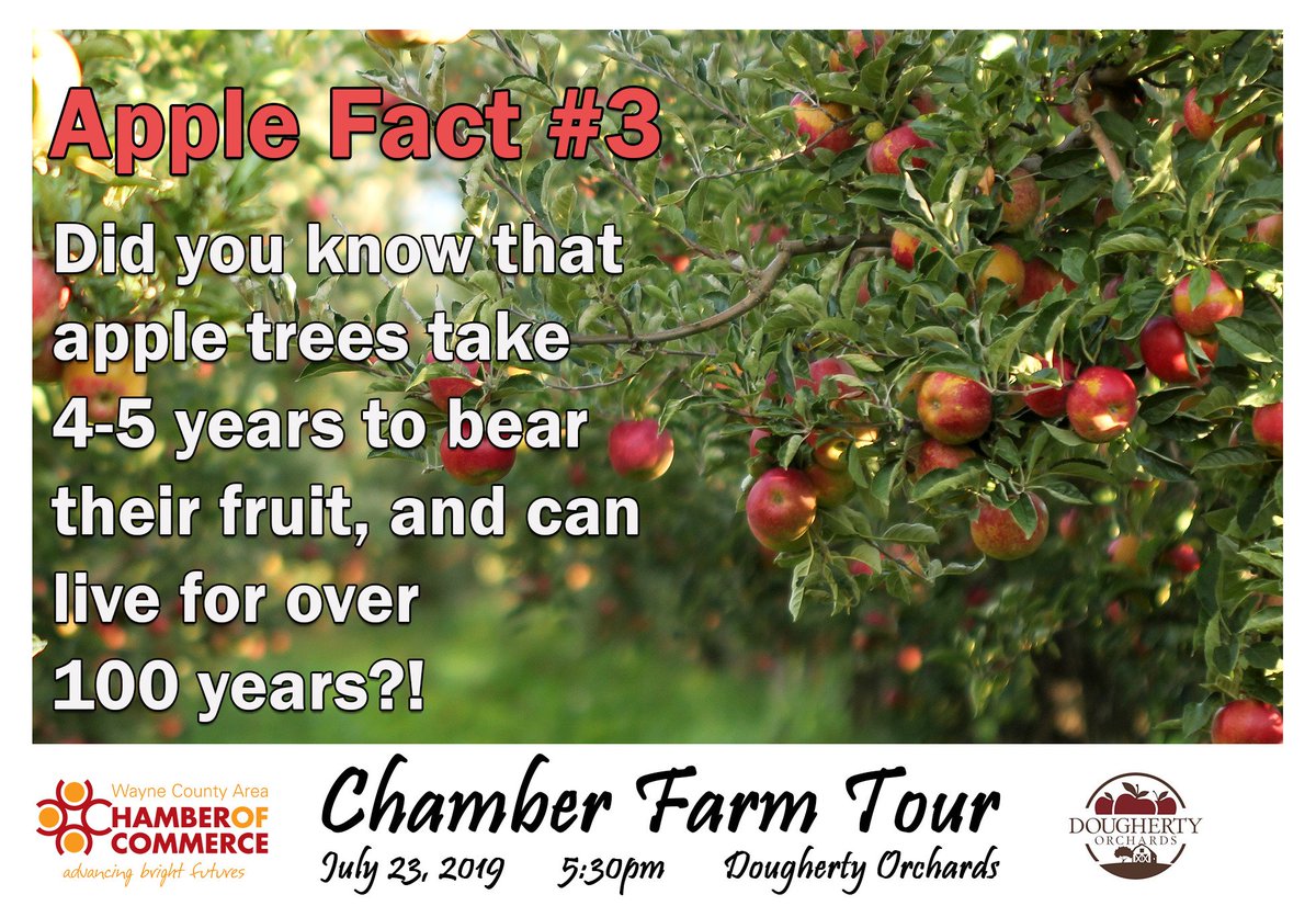 Apple Facts #3 Did you know that apple trees take 4-5 years to bear their fruit, and can live for over 100 years?!

The Chamber Farm Tour is coming up on Tuesday, July 23, tickets are now on sale at wcareachamber.org/farm-tour-tick…