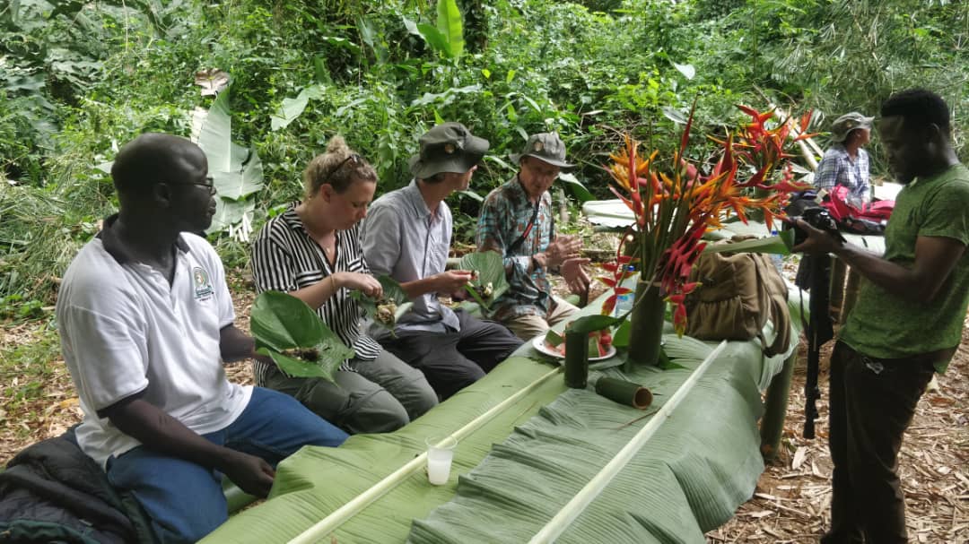 Portal_Forests's tweet photo. @BangorUni pleasure hosting your MSc Tropical Forestry students. They had a real #forest immersion-drinking #palmwine from bamboo cups, sucking on fresh coconuts &amp; eating off amaranth leaves.They also got to see a private forest in action. #sustainableforestry #thinklandscape https://t.co/w88xZHF7pG