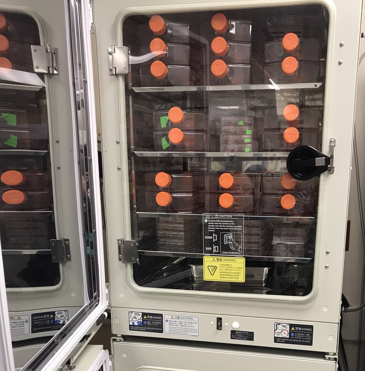amandarose_615's tweet photo. Turning the full incubator into lots of pellets.
#lotsofdata #ComingSoon #fall2019 https://t.co/GoZR3aZEHk