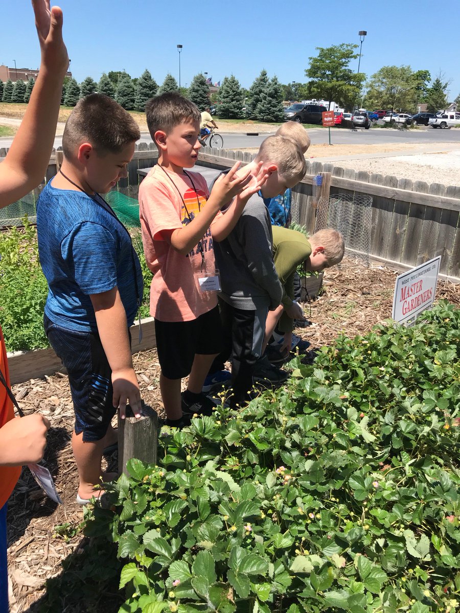 cbsummer678's tweet photo. 5th grade students acquired new skills on how to be an expertise on growing strawberries.
#FutureLeaders
#SummerLearningWeek
#cbcsdsummerexplore
#summermatters https://t.co/nbPEJeplit