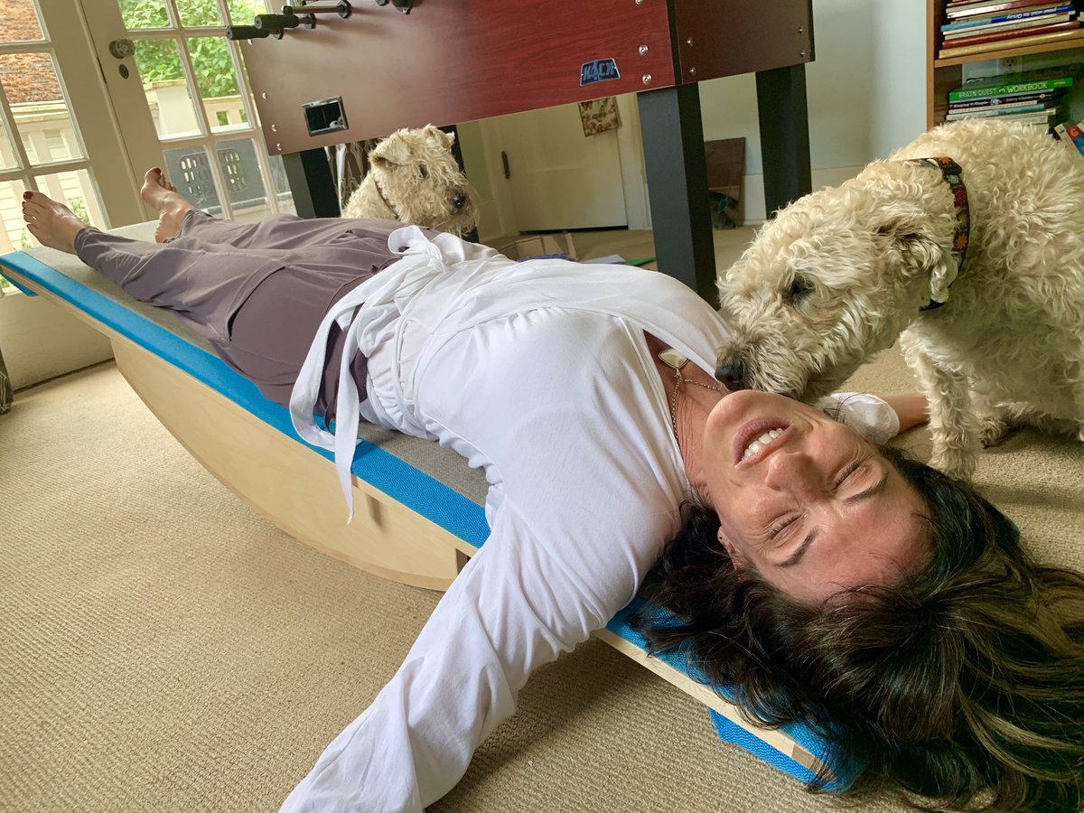 SuzMargo's tweet photo. How do you restore your mind, body, spirit? Pilates &amp; yoga are my go tos. Having tried the Incliner by @InclineRx, I’ve now a new, daily renewal source in the comfort of my home. Lie back &amp; relax! Love it as do my pooches! #wellnessfurniture #rest #renew #restore #seattlestartups https://t.co/0eCgem5Xqq