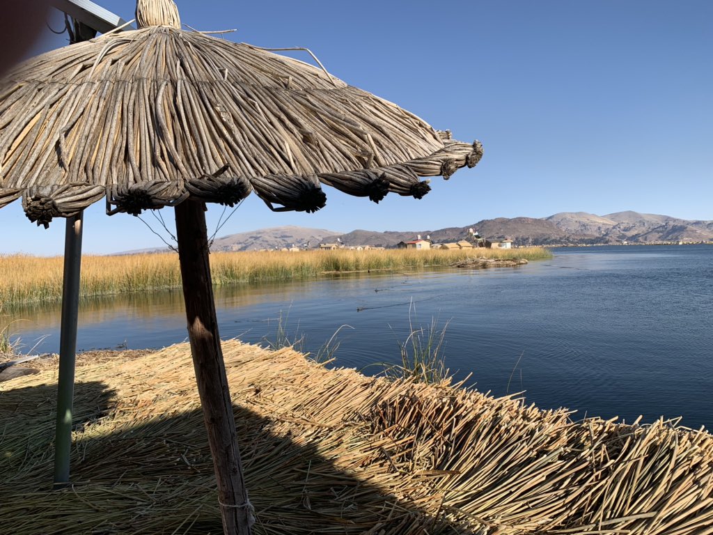 ShannonSeigle's tweet photo. What a whirlwind! We are now in Puno, Peru staying on Lake Titicaca in the Uros Samarana Uta Lodge. Tomorrow we learn about how the islands are made and how they maintain biodiversity and low carbon footprints. See the solar panels? π΅πͺβ₯οΈ #FFTFellow #stemcrewdoesperu @STEMcha https://t.co/bNegbAEgf4
