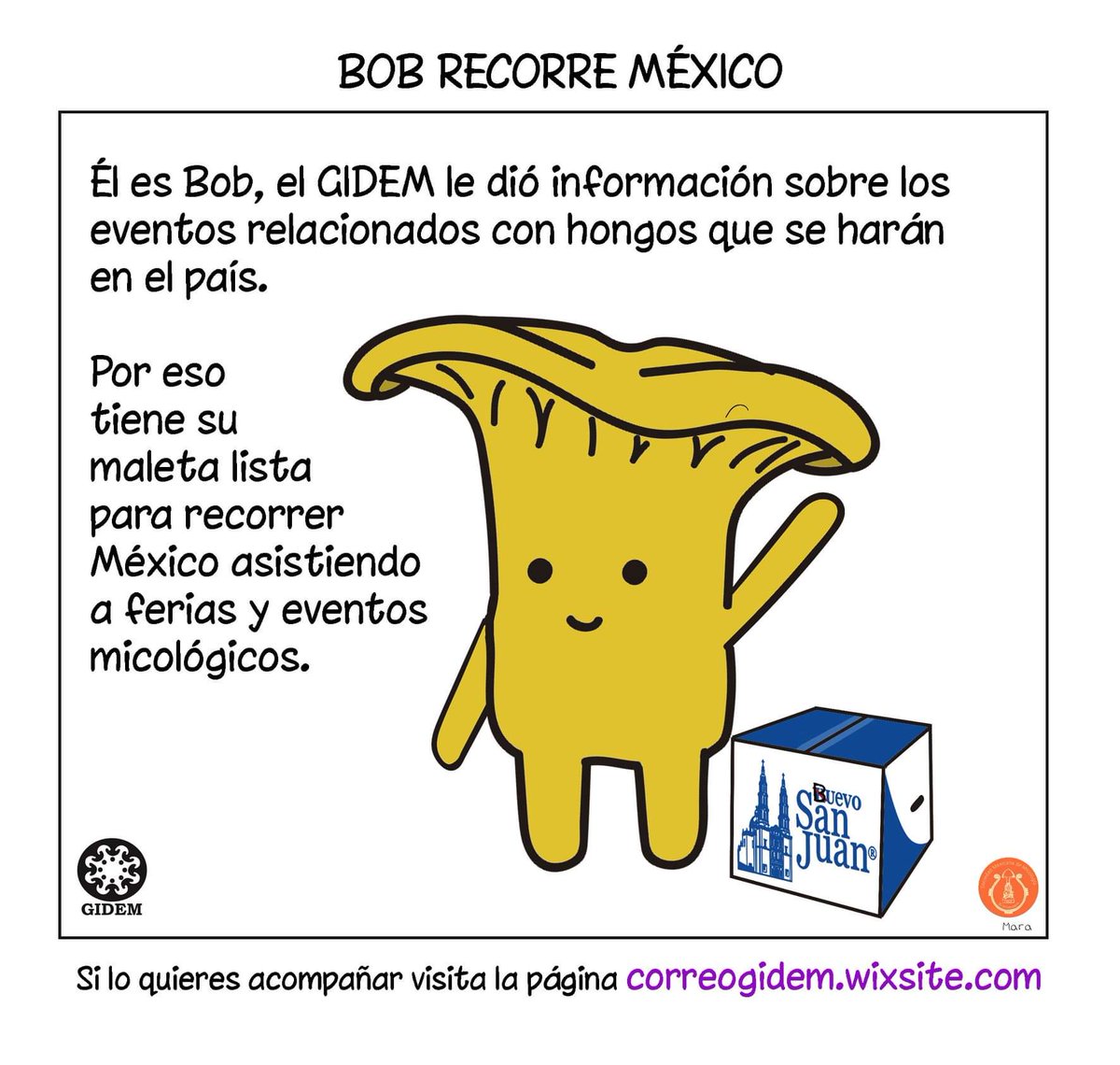 SMxMicol's tweet photo. Viajen por #México aprendiendo sobre hongos silvestres a lado de expertos y personas locales. https://t.co/y84n9TOZTD https://t.co/lZrAObagOz