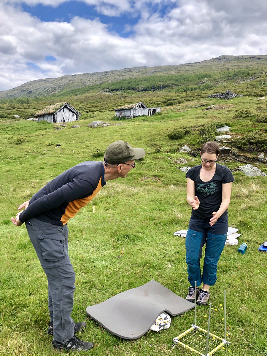 VVandvik's tweet photo. @EmeraldNorway chief @FrodeStordal visits #SeedClim @funcab_uib #INCLINE and in a single day learns everything a #climate modeller ever wanted to know about plants... In other news: we finished our dinner! https://t.co/Ei5iF3FF9g