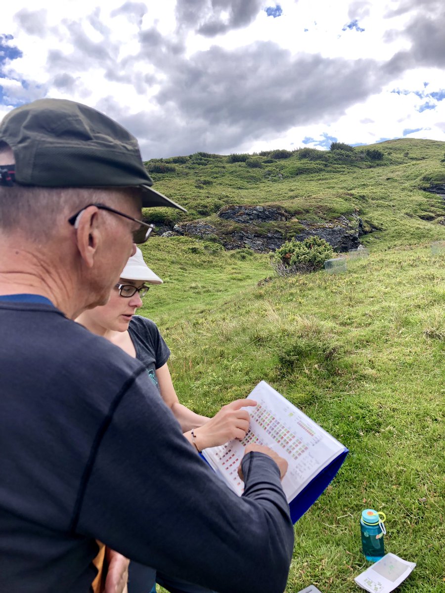 VVandvik's tweet photo. @EmeraldNorway chief @FrodeStordal visits #SeedClim @funcab_uib #INCLINE and in a single day learns everything a #climate modeller ever wanted to know about plants... In other news: we finished our dinner! https://t.co/Ei5iF3FF9g