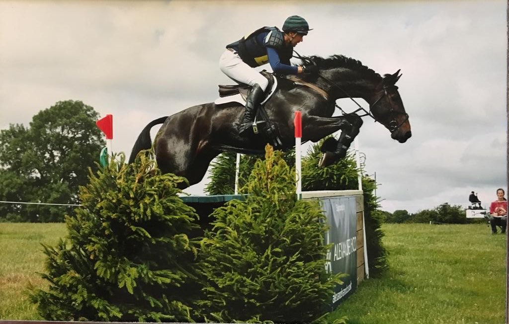 OwenAndKatie's tweet photo. Lovely photos of Ollie who stepped up to Intermediate yesterday @uptonhouseht @TopSpec2 @tmhaylage @sbkequestrian @SheldonBKnight https://t.co/V4M7x71hsj