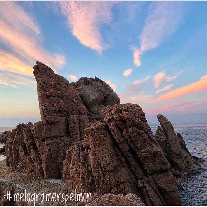 Melogramers's tweet photo. Abrir el corazón, y encontrar cosas que no son tuyas
.
.
Desde nuestra amada Costa Brava nos llega esta espectacular captura. Muchísimas gracias, @maneleos7d 

Feliz noche, #melogramers #melogramerspelmon https://t.co/l9cbSeqnCZ