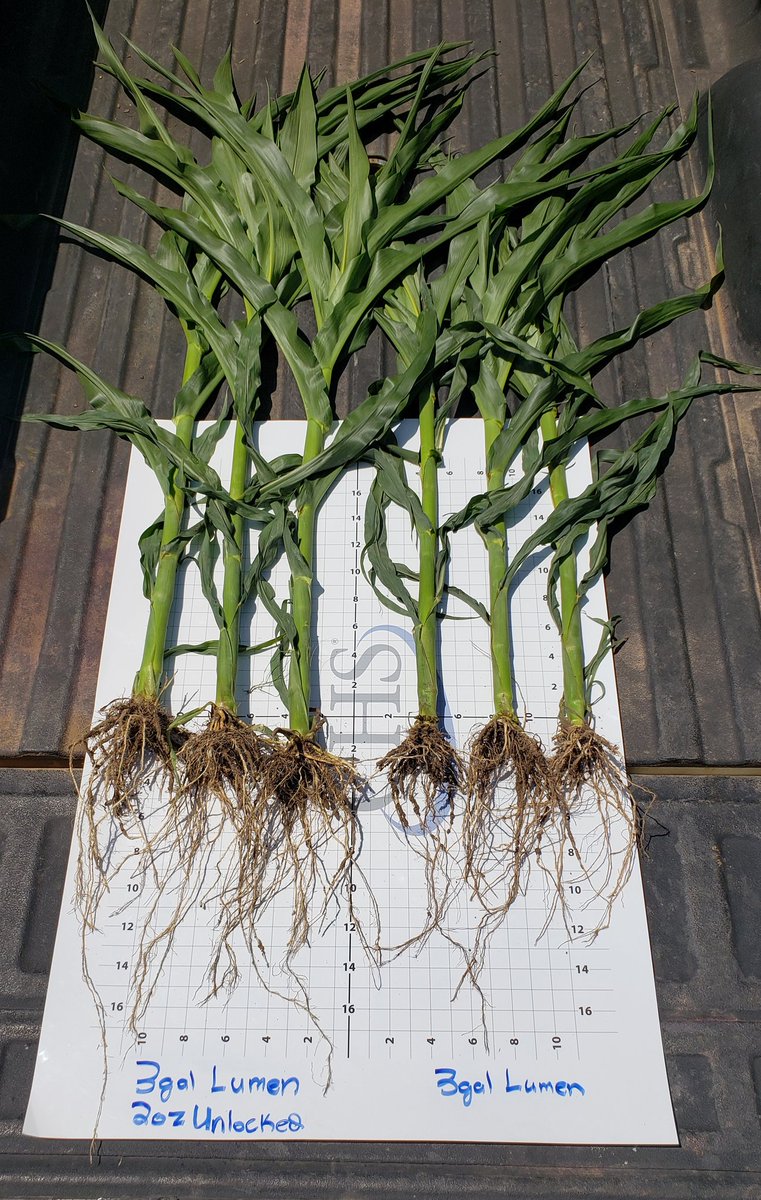 RRademac's tweet photo. Quality is never an accident. It is the result of optimizing the most out of your field applications. @CHS_Brandon1 @CHSInterns #seeingisbelieving 
Left: 
    3gal Lumen 
    2oz Unlocked 
Right:
    3gal Lumen https://t.co/JNKjGHkpz2