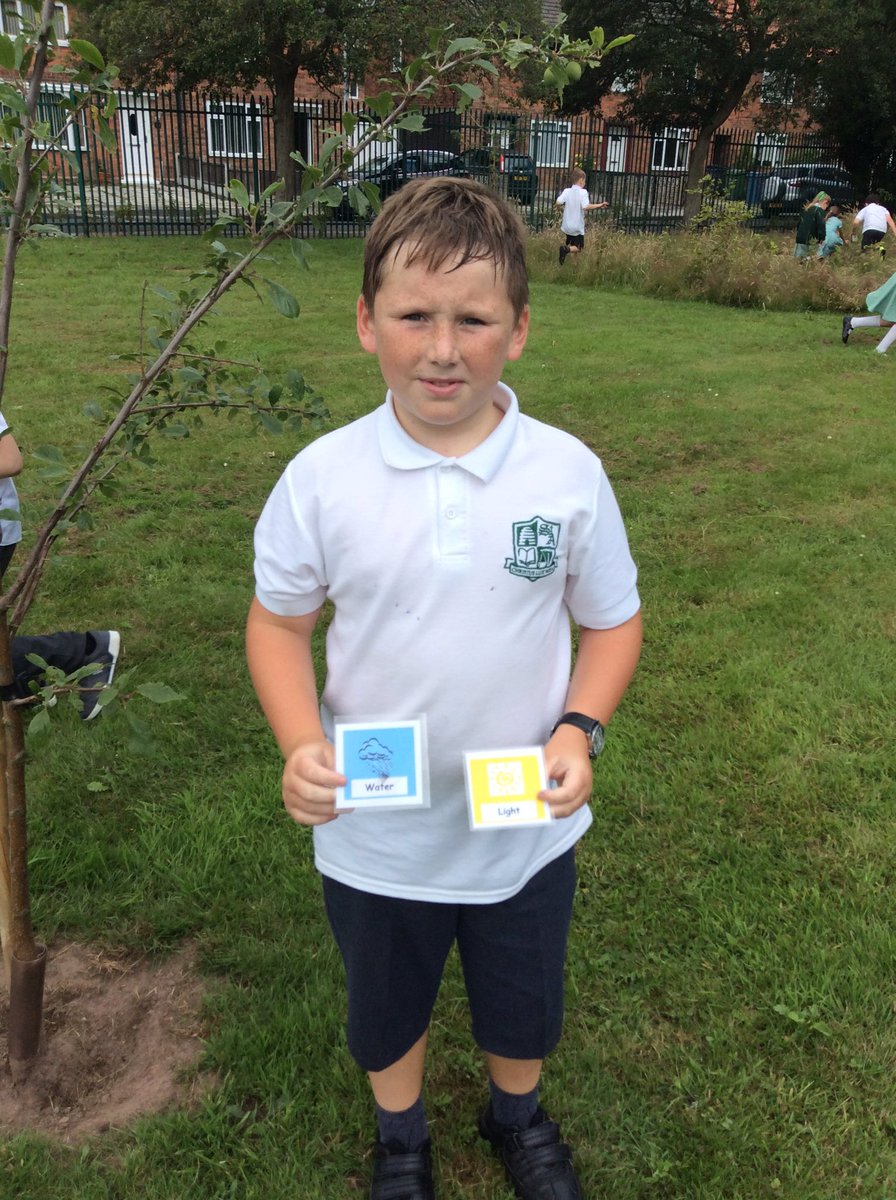 MrsWalkerY3's tweet photo. Y3 have been learning about different types of leaves and trees this afternoon #outdoorlearning #noteveryclassroomhasfourwalls https://t.co/ieHK6d4WcE