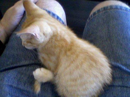 Eric "Only KC Cares" West tweet media