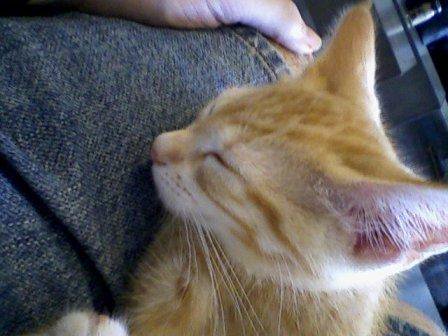 Eric "Only KC Cares" West tweet media