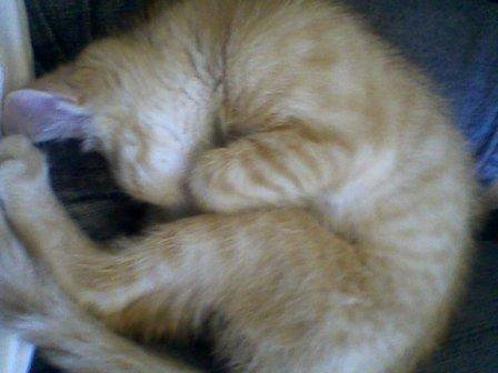 Eric "Only KC Cares" West tweet media