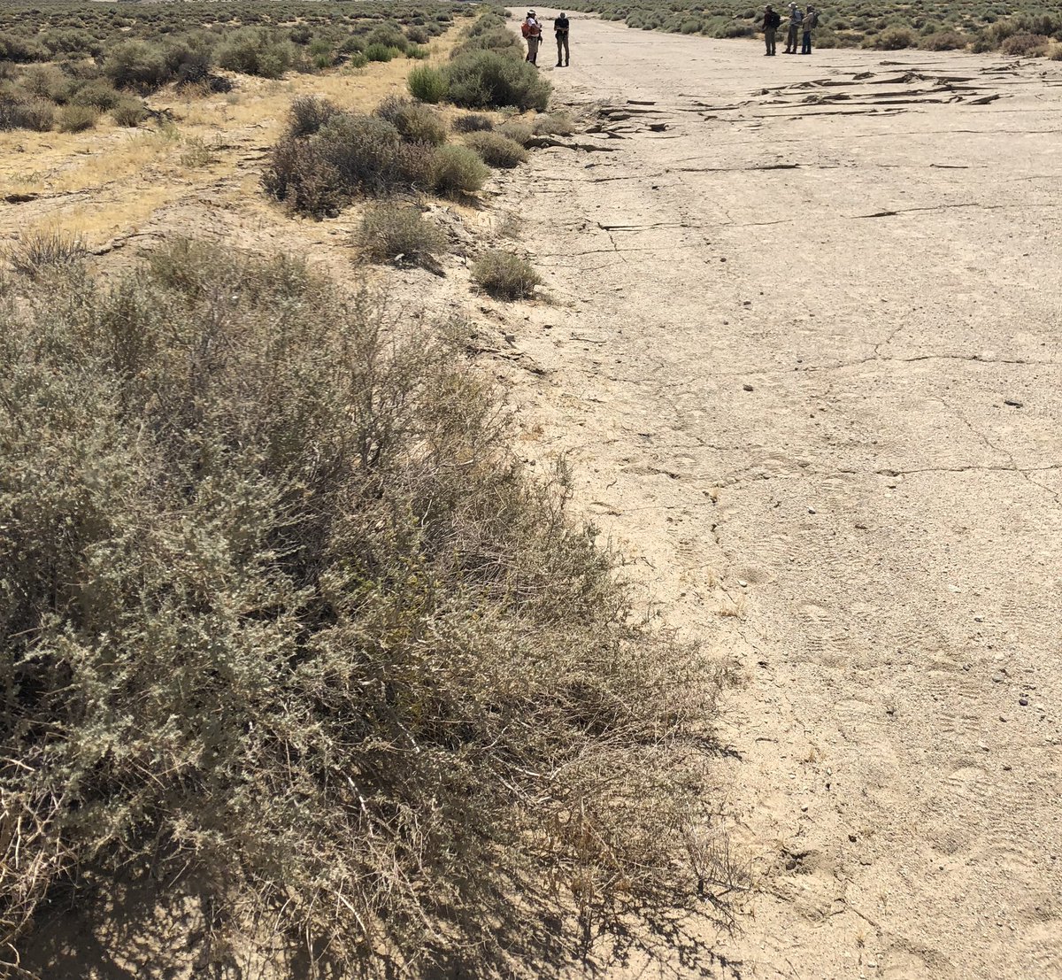 My first look at #RidgecrestEarthquake rupture on Tues and first tweet ever!!