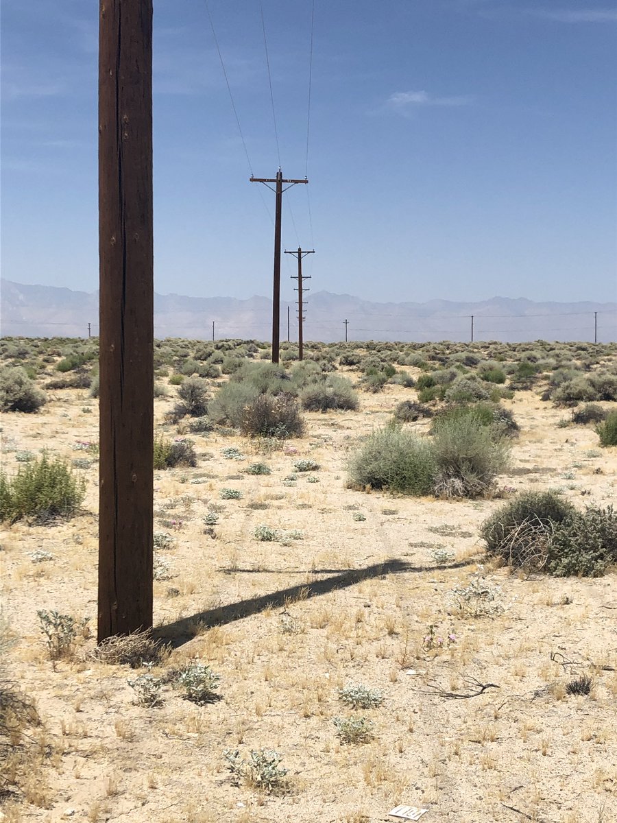 ~1.2 meters of right-laterally offset power line poles #RidgecrestEarthquake