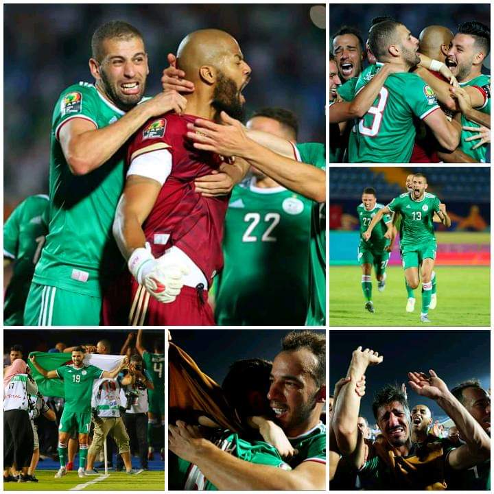 Allez les fennec 🇩🇿