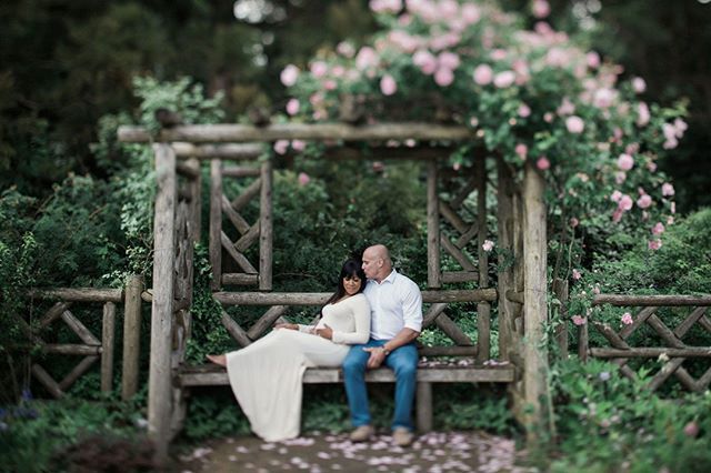 "Seven years ago, I took a chance for our engagement pics in NYC. We fell in love with her work so much, we had them come all the way to Memphis for our wedding ! Fast forward another 6 years, I couldn’t imagine having anyone else take our maternity pics… ift.tt/2SaXec0