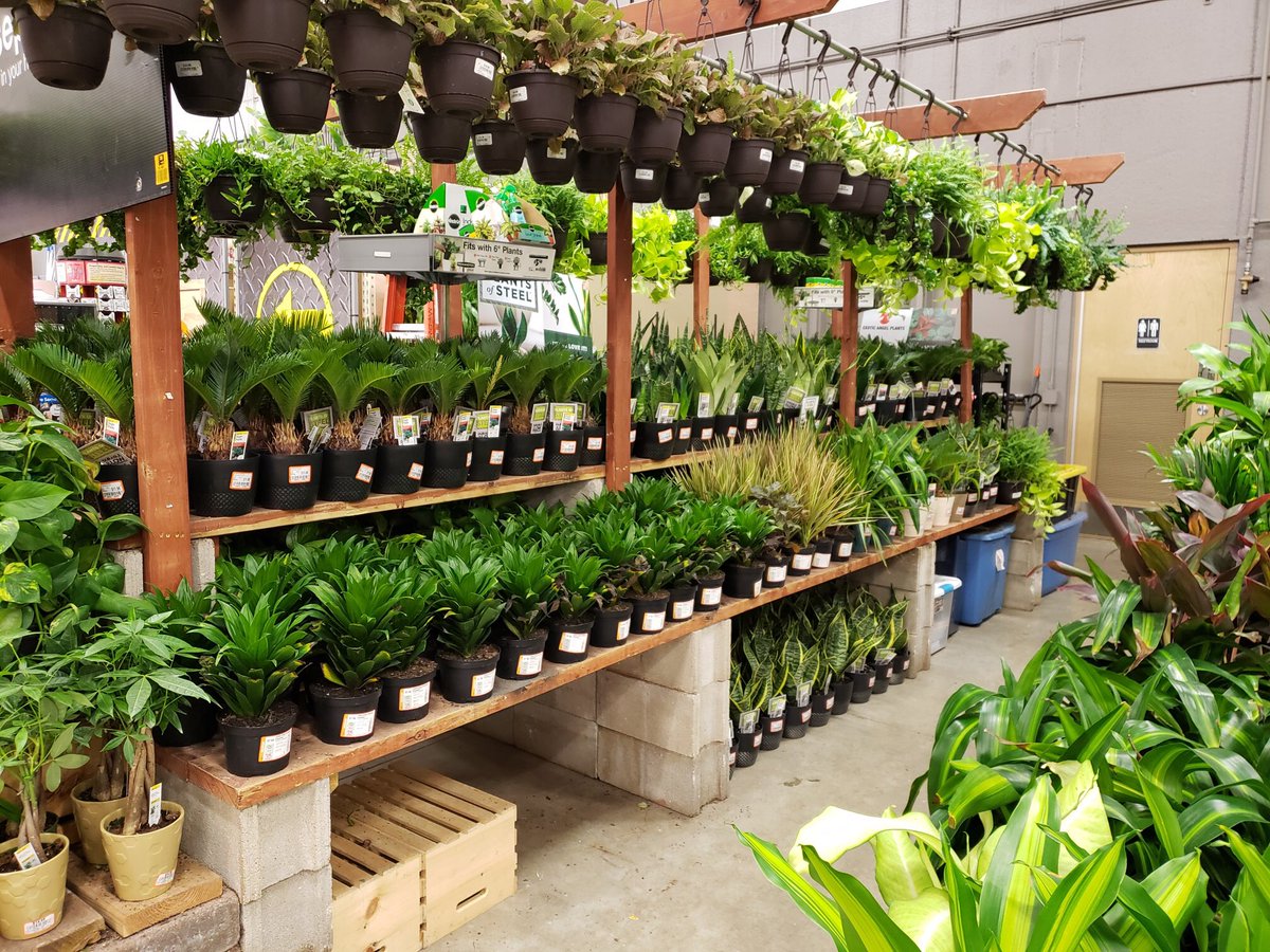 FarmsCosta's tweet photo. #HD1961 #setandready #thehomedepot โฆ@CherieVelez75โฉ https://t.co/k7QjGNYNgy
