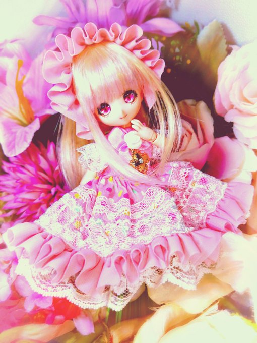 ミニスウィーツドール 表情違いシナモン Www Vetrepro Fr