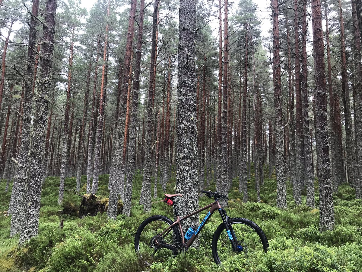 DofENAC's tweet photo. Even when DofE Leaders are on their hols, new route ideas and cracking campsite locations are found!! #IAmDofE #arranoutdoors #cairngormsnationalpark #Narnia https://t.co/CvHCLgnD5K