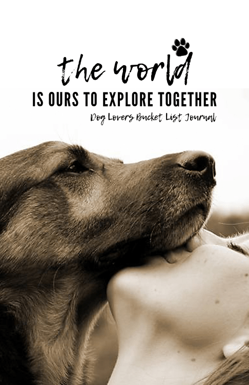 The World Is Ours To Explore Together therocknrolldog.com/the-world-is-o…