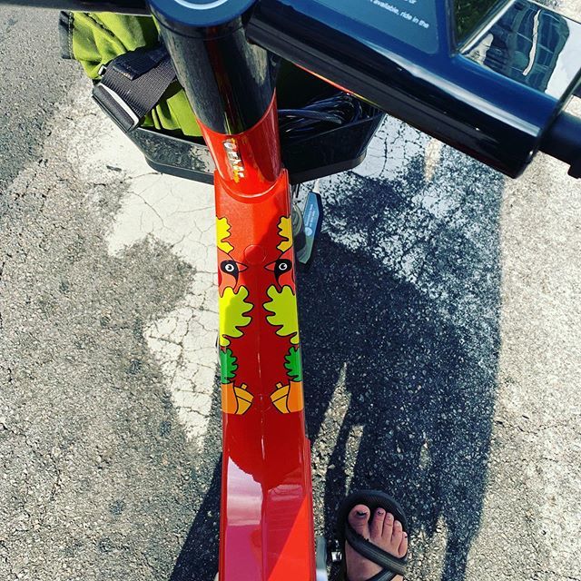 House of Swank tweet media