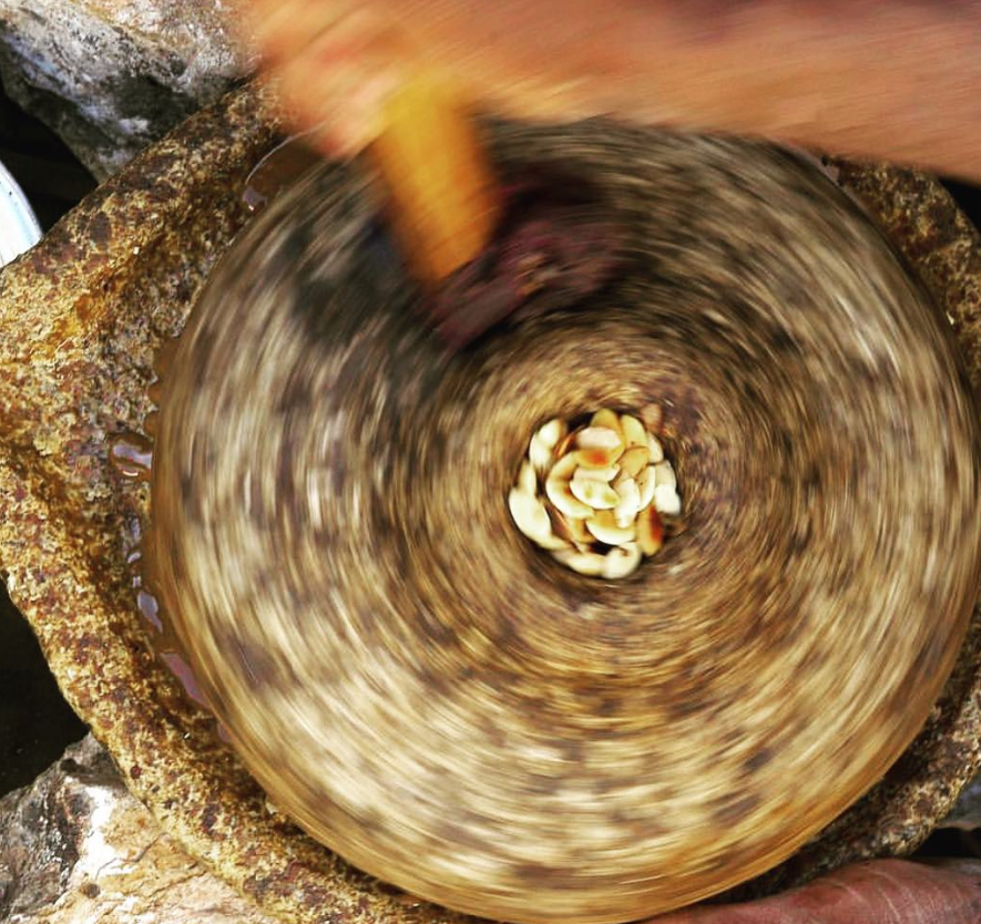 MimounaOfficial's tweet photo. Our oil is the lifeblood that flows from the earth through the Berber people. ✨

Organic and vital, it empowers the women of our homeland from its harvesting to its production and utilization, linking generation to each new generation. 👵👩👩👩💫
#MIMOUNABOTANICALS #BETTERBEAUTY https://t.co/LYiA04K3d9
