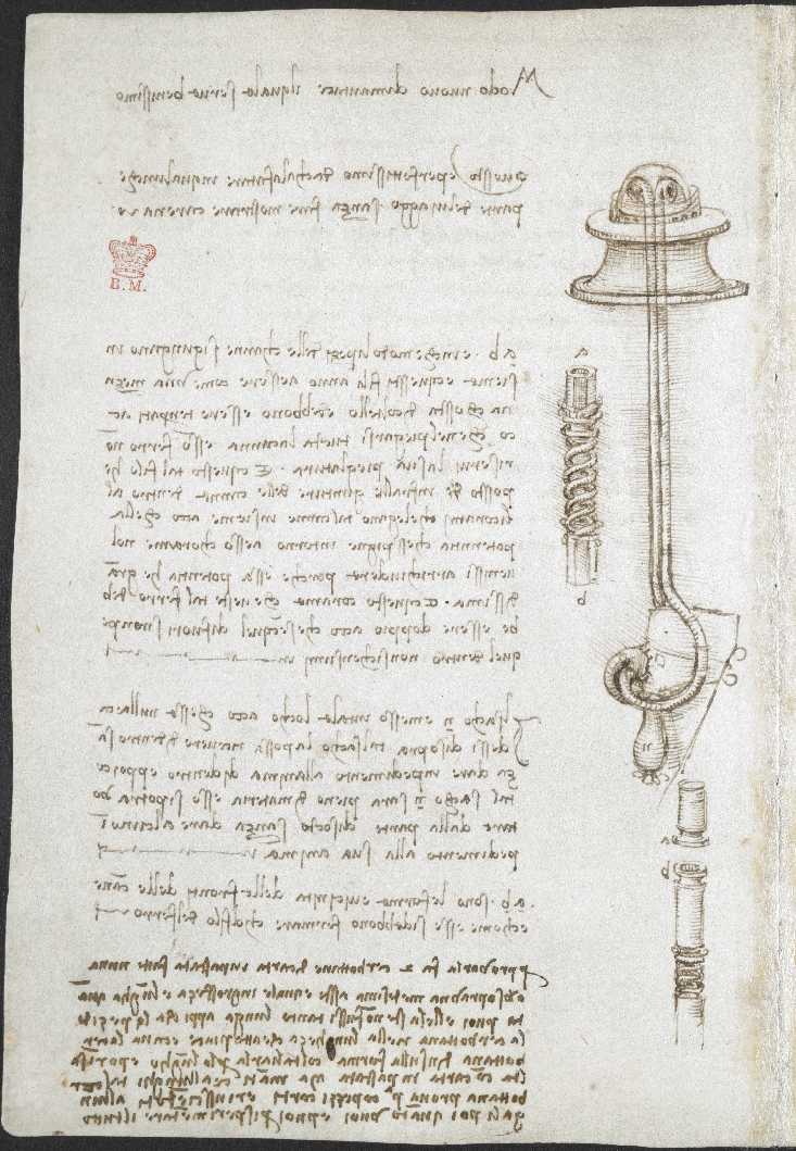 Medieval Manuscripts tweet media