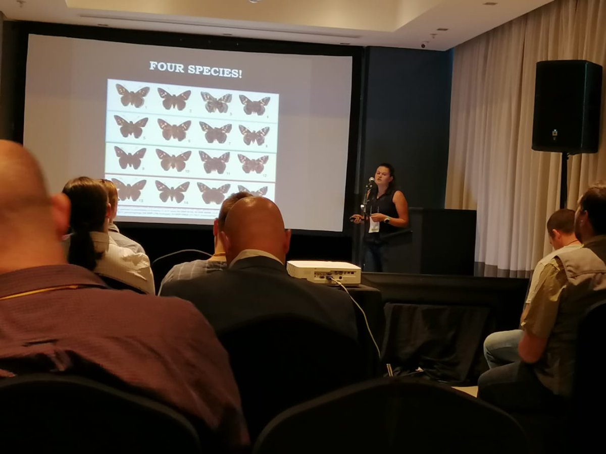 Gen_Theron's tweet photo. My second ever ento conference over. Met fantastic new people, won the lucky draw, got people excited about #LongTonguedFlies !! #ESSA21 #FBIP #Nemestrinidae #diptera #yearofthefly https://t.co/QrLZE7p6GE