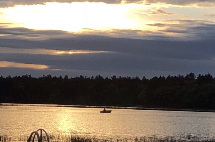 EddieCollins34's tweet photo. See you soon....#GodsCountry #Bodi #freetherapy https://t.co/Xocy7c5sAG